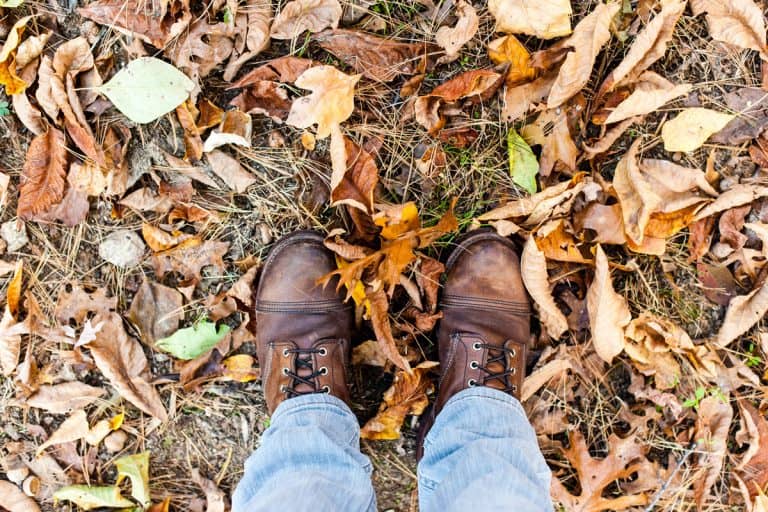 A man standing on the ground filled with leaves with his Red Wing boots on, How Much Do Red Wing boots Cost?