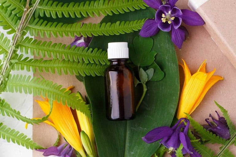 Natural organic essential oil packaging mock up with leaves and flowers, At What Age to Use Retinol? the Answer May Surprise You!