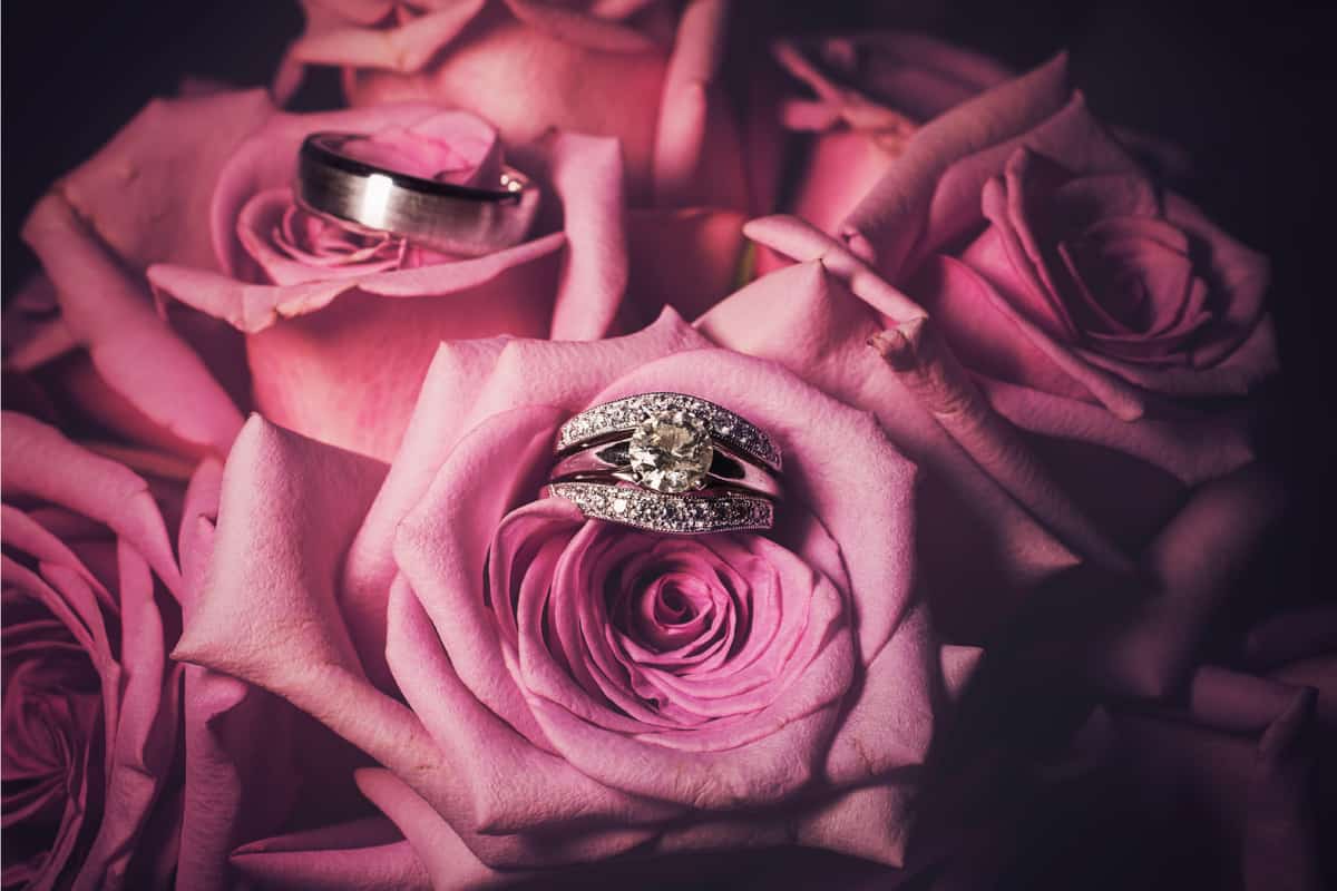 Wedding rings in a bouquet of pink roses