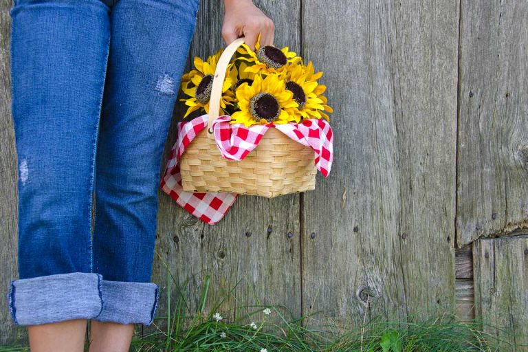 Young girl with rolled up blue jeans and sunflower basket by old barn, How To Turn Pants Into Capris [4 Easy Ways]