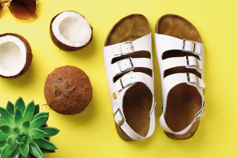 Birkenstocks on yellow background with cactus and coconuts, How To Clean Birkenstocks Sandals in 4 Steps