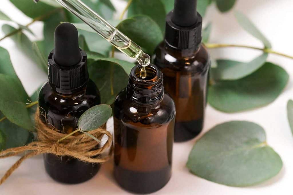Eucalyptus essential oil bottles and leaves