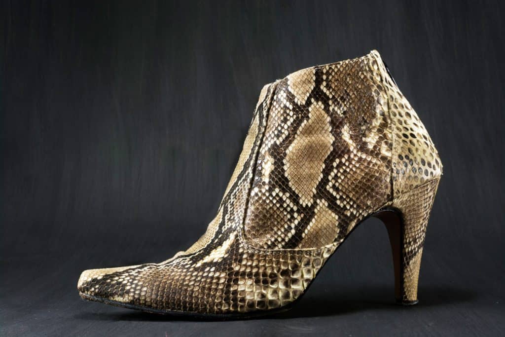 Shoes made of snake skin on a dark, Shoes made of snake skin on a dark,What Colors Go With Snakeskin Shoes?