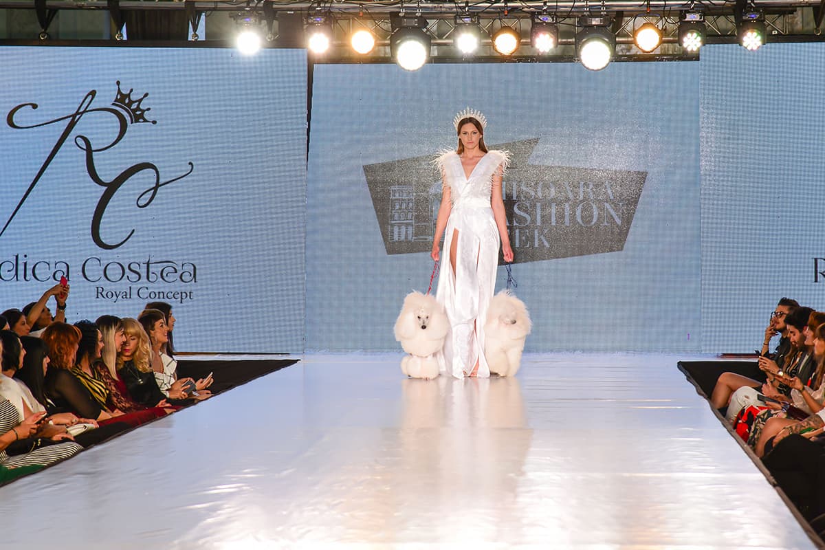 Model walk in the runway with dogs