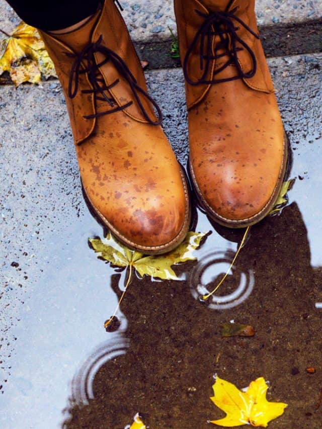 cropped-girls-leather-boots-at-the-puddle-at-the-rainy-autumn-day-1.jpg