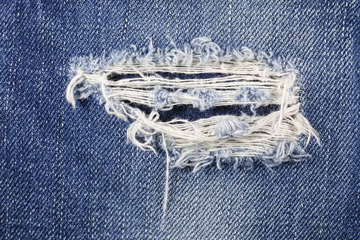 Torn jeans caused by a cat