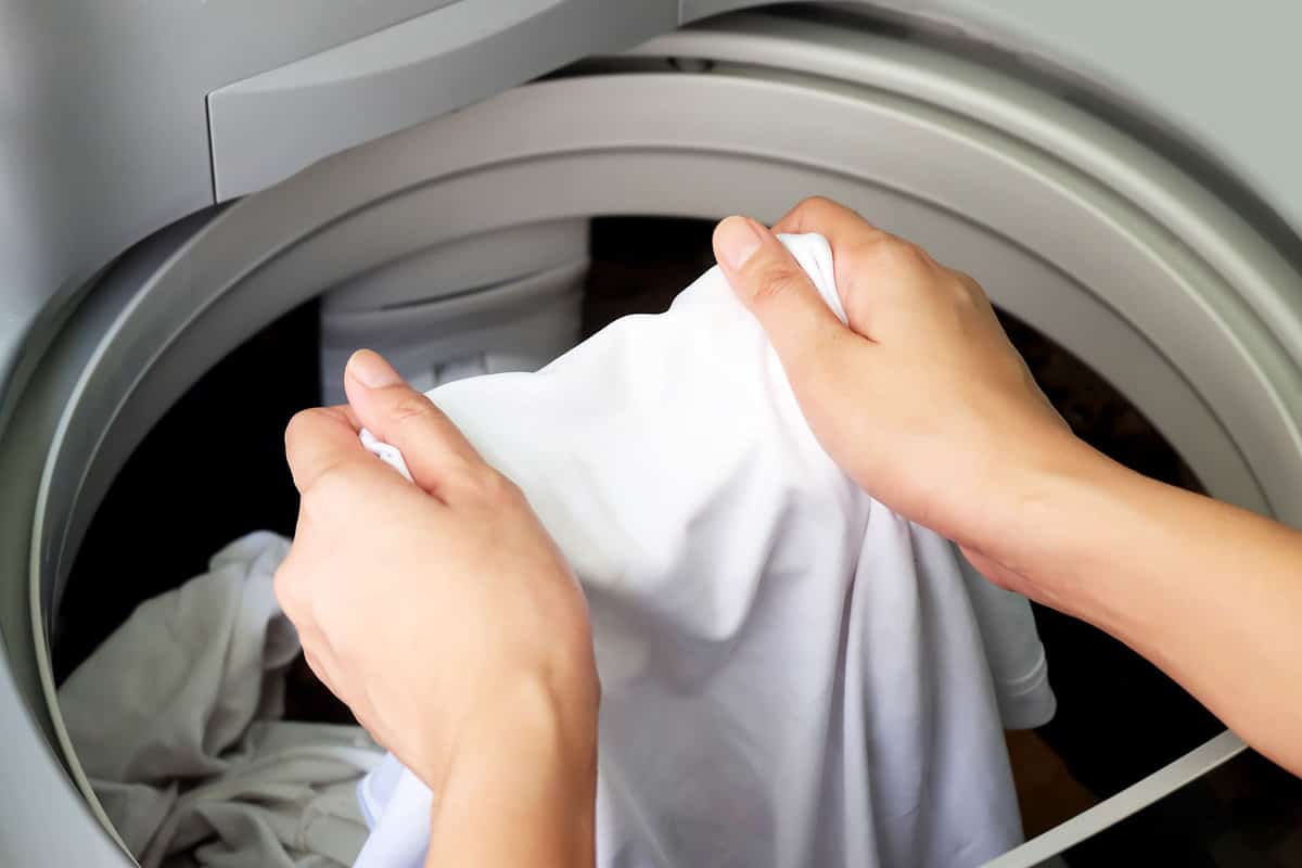 Removing clean white shirt from the washing machine