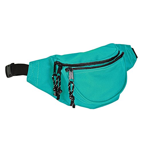 Fanny Pack or Belt Bag